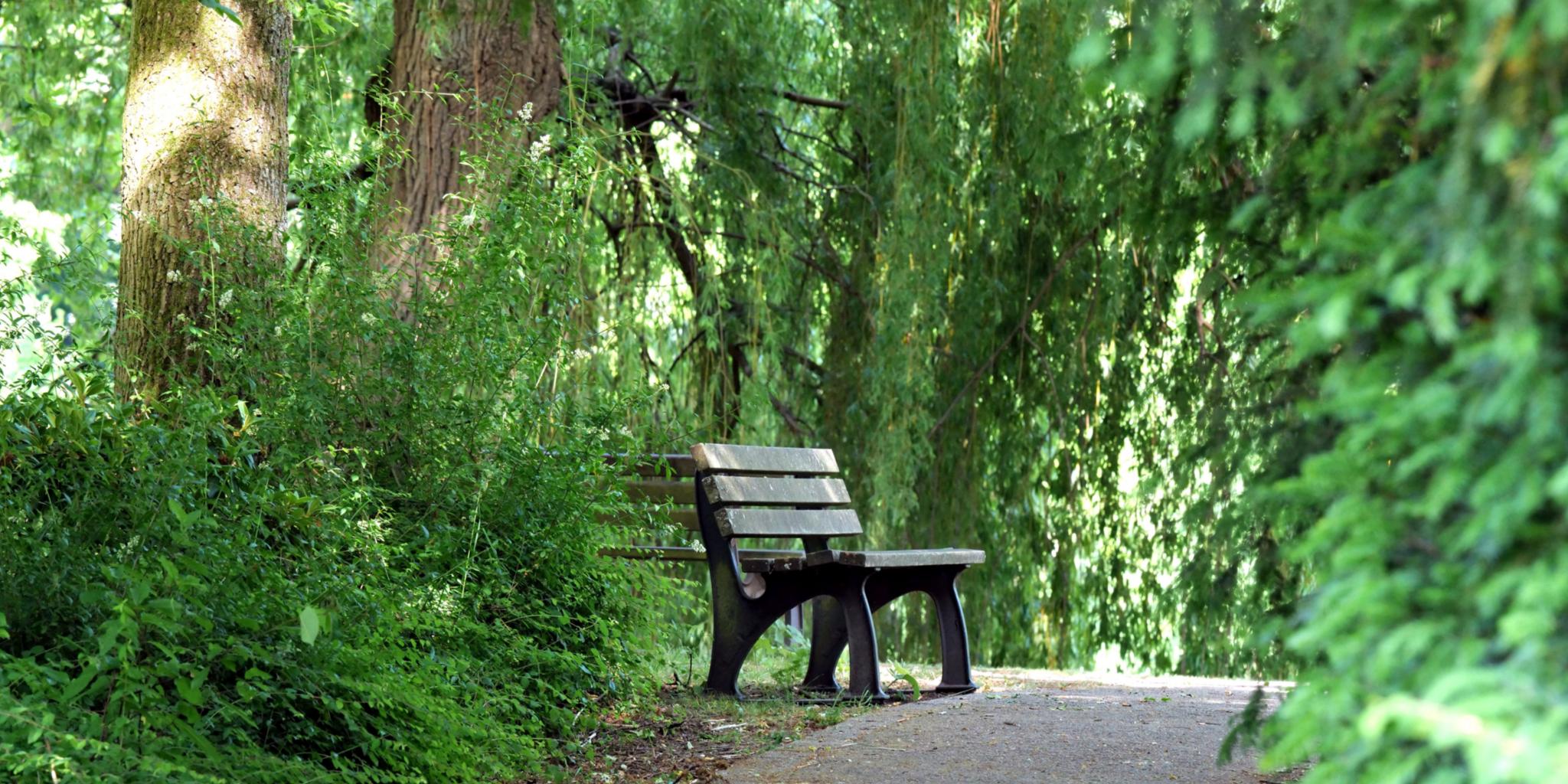 1299_bank_im_gruenen_by_peter_weidemann_pfarrbriefservice