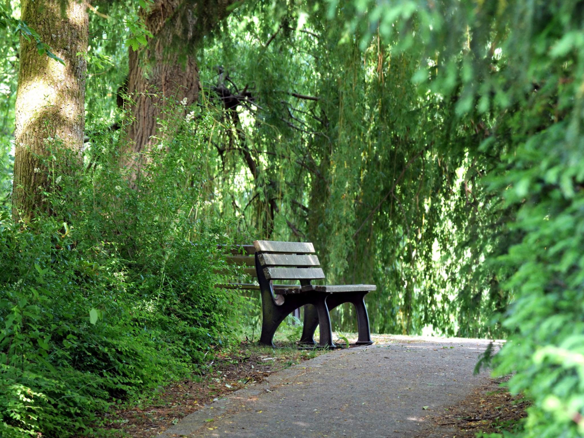 1299_bank_im_gruenen_by_peter_weidemann_pfarrbriefservice