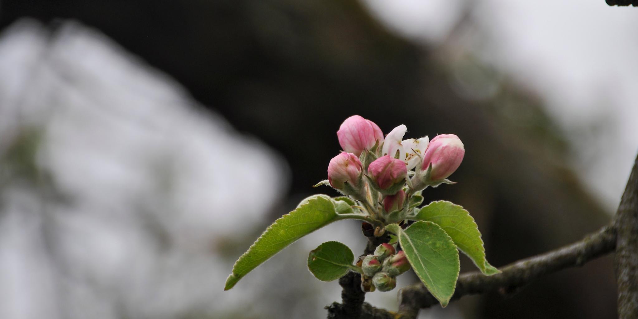 16293_dsc_3192_by_michael_bogedain_pfarrbriefservice_0