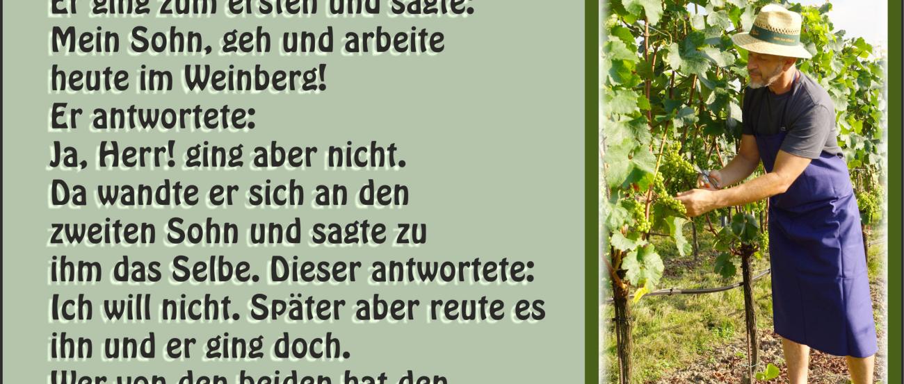Bild Arbeiter im Weinberg mit Bibeltext 'Die ungleichen Söhne'