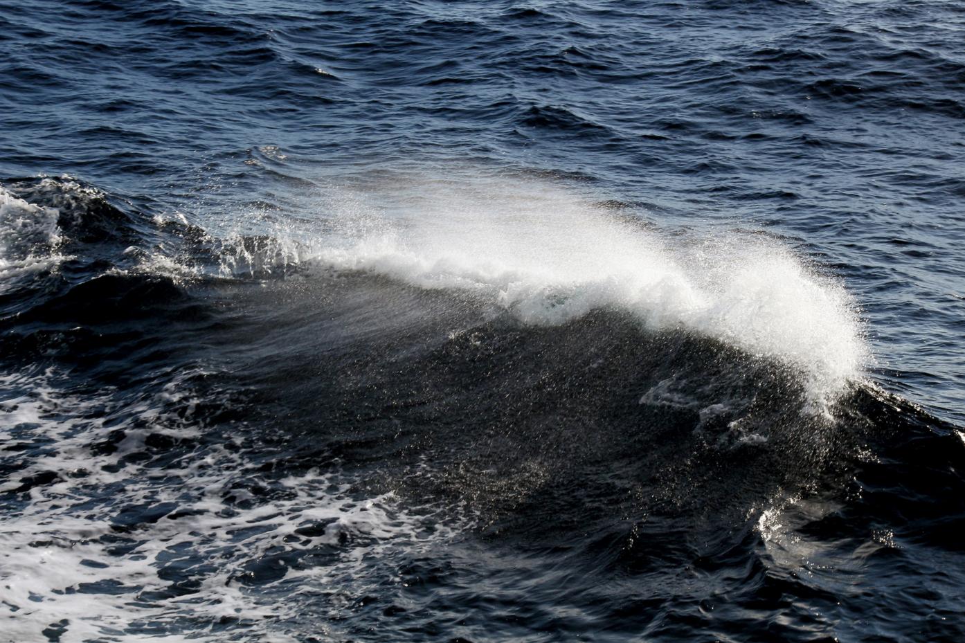 brechende Welle im Meer