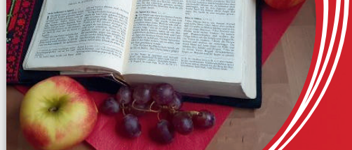 eine aufgeschlagene Bibel auf einer roten Serviette, links unten ein Apfel und einige Trauben, rechts oben neben der Bibel liegt ebenfalls ein Apfel