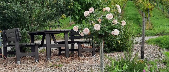 Auf dem Weg nach Klausen - Naturbild