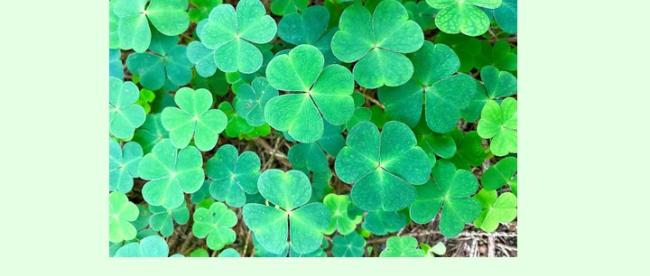 Plakat_Familiengottesdienst_Glückseligkeit