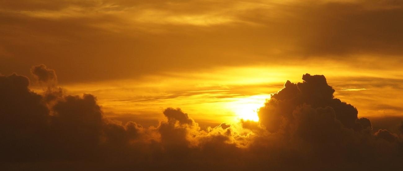 Sonnenuntergang hinter Bäumen