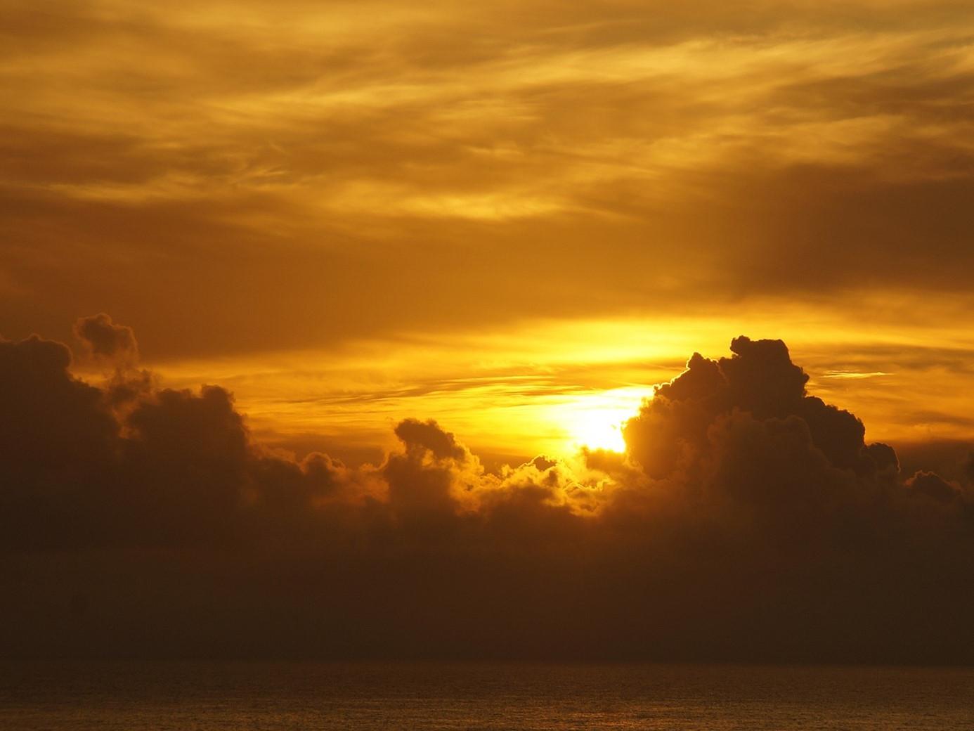 Sonnenuntergang hinter Bäumen