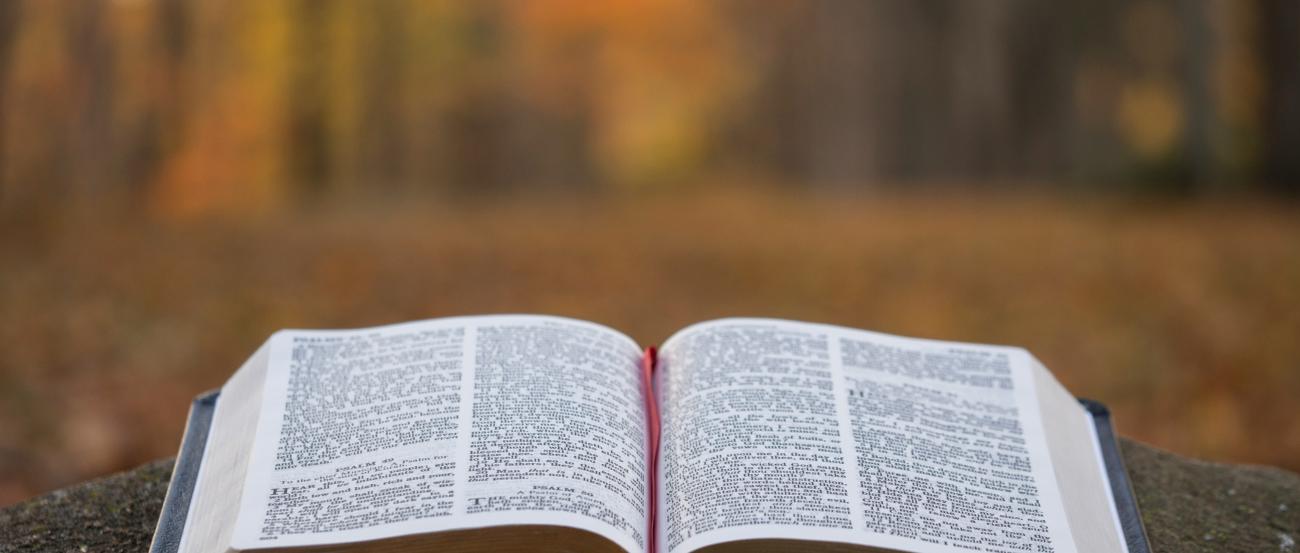 aufgeschlagene Bibel auf einem Steinaltar inmitten eines herbstlichen Waldes