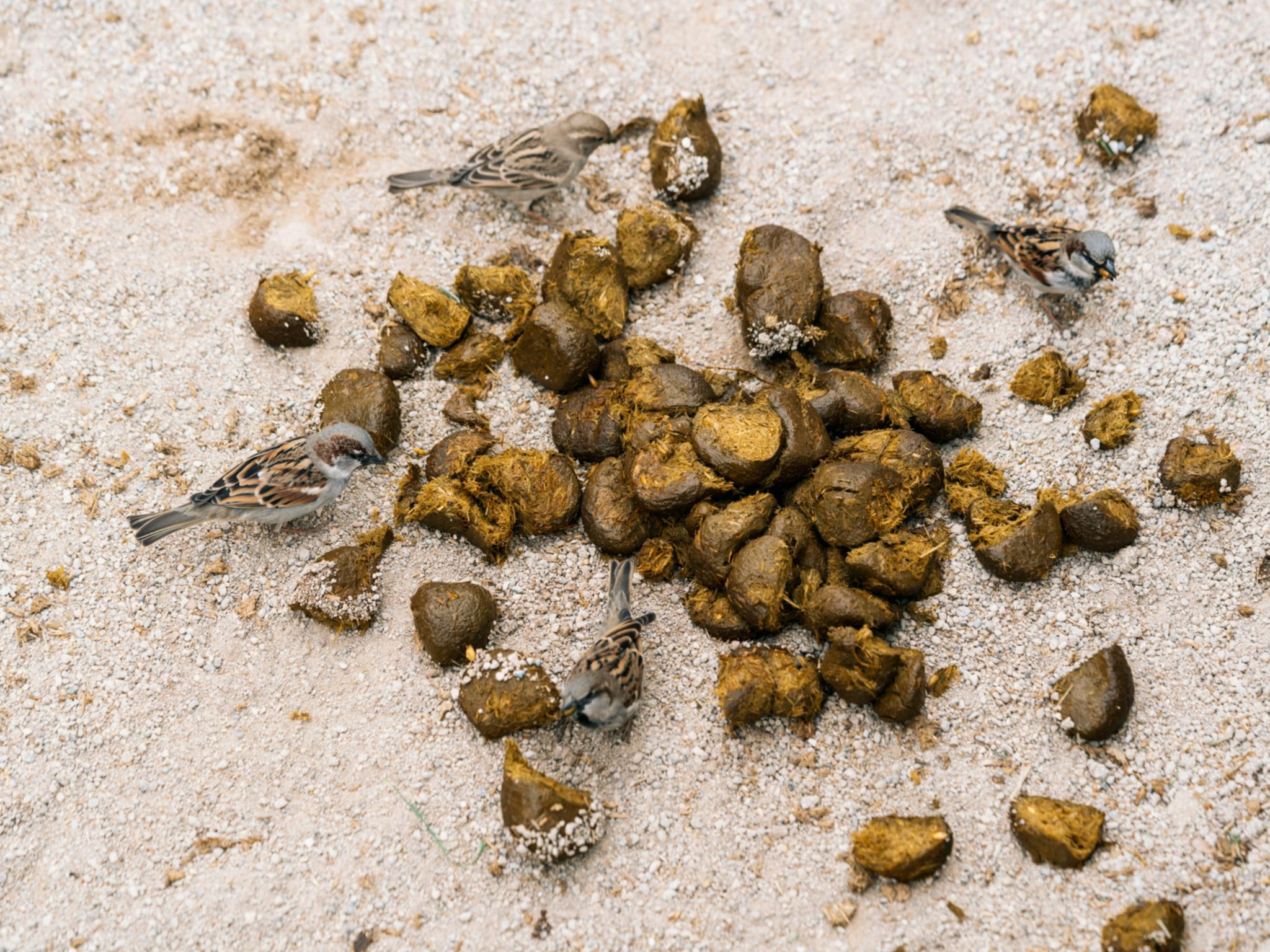 busra-salkim-bVqw_E0fC5Q-unsplash