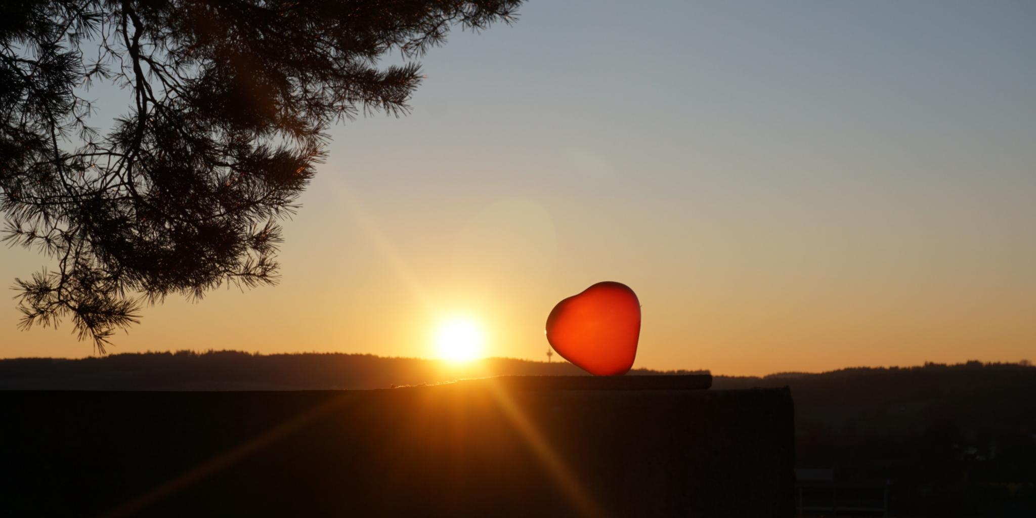 Rotes Herz vor Sonnenuntergang, Silhouette eines Baumes links.