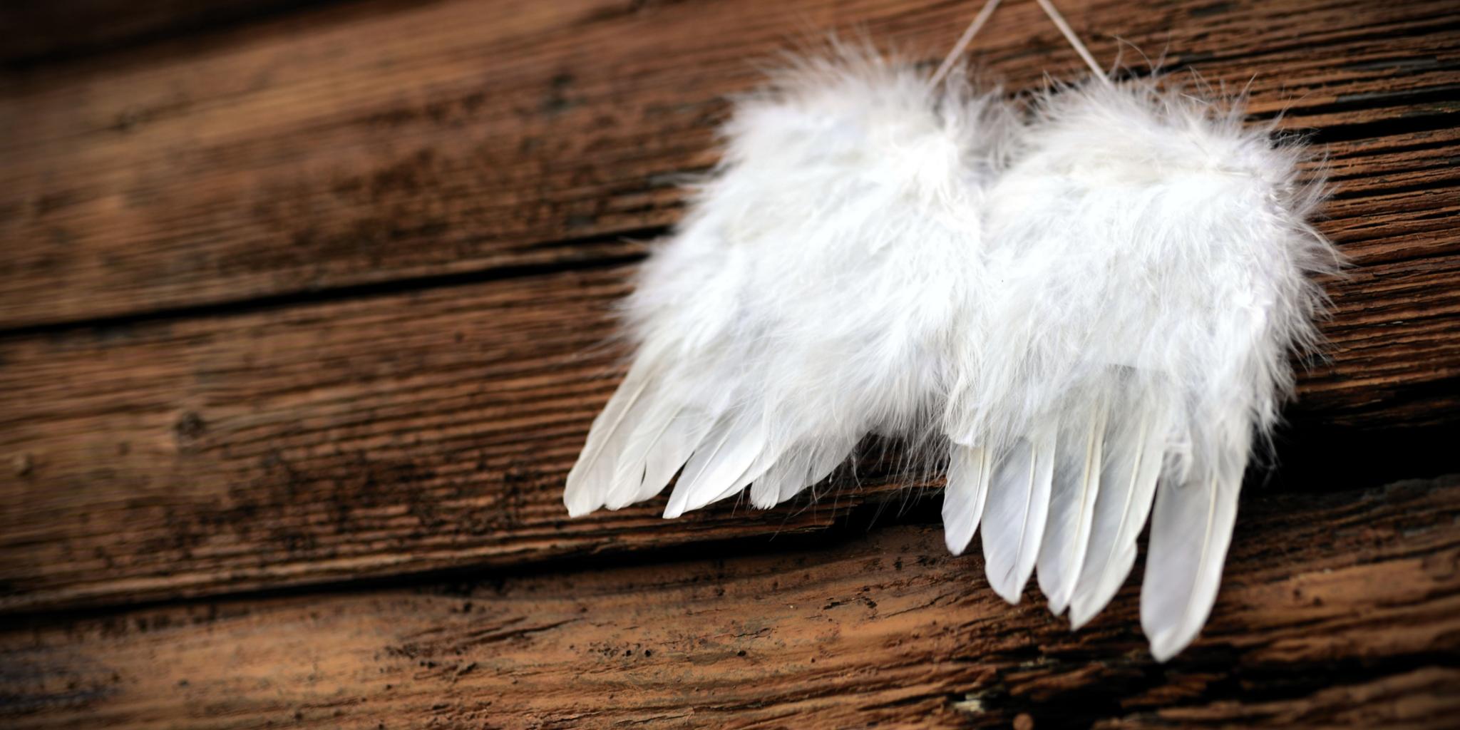 feather-4661244_by_congerdesign_pixabay_pfarrbriefservice