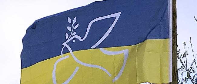 Ukraine-Flagge mit Friedenstaube