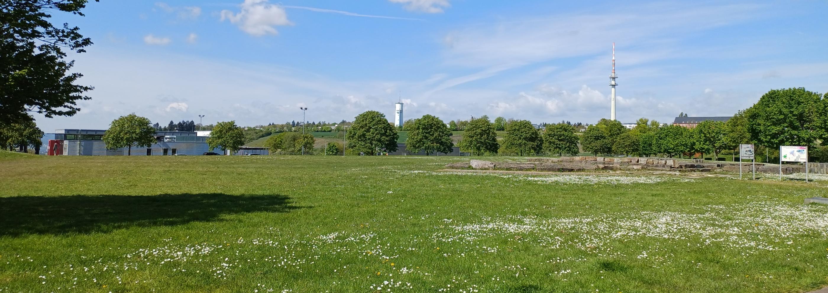Petrisberg - Blick auf den Wasserturm und Funkturm