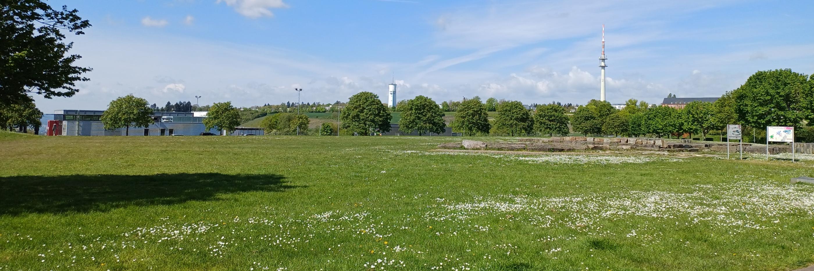 Petrisberg - Blick auf den Wasserturm und Funkturm