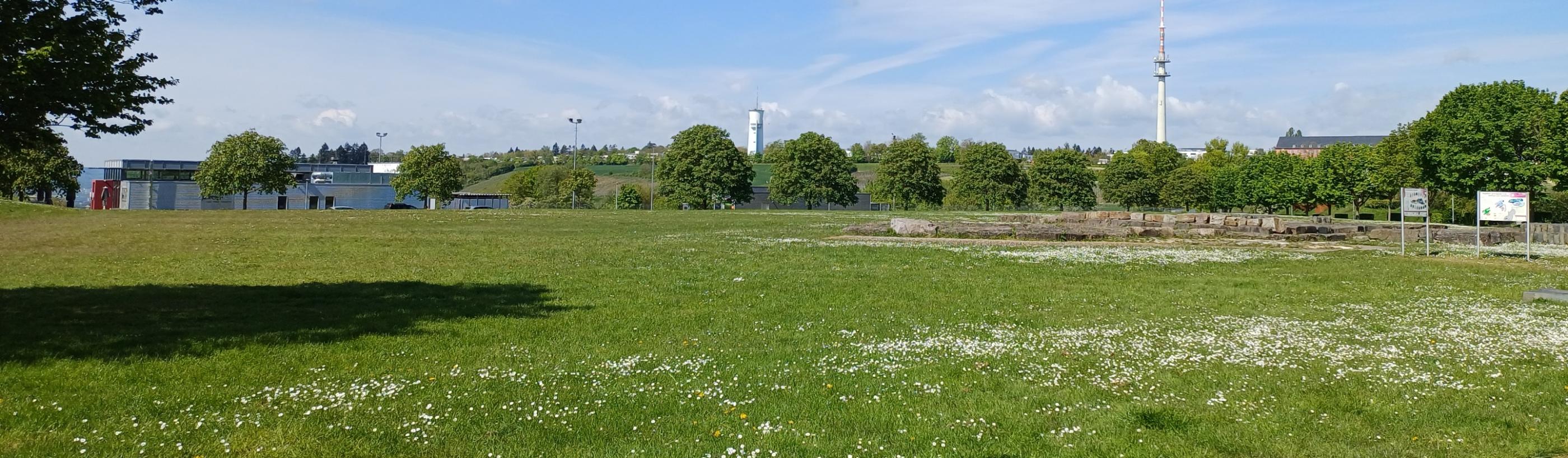 Petrisberg - Blick auf den Wasserturm und Funkturm