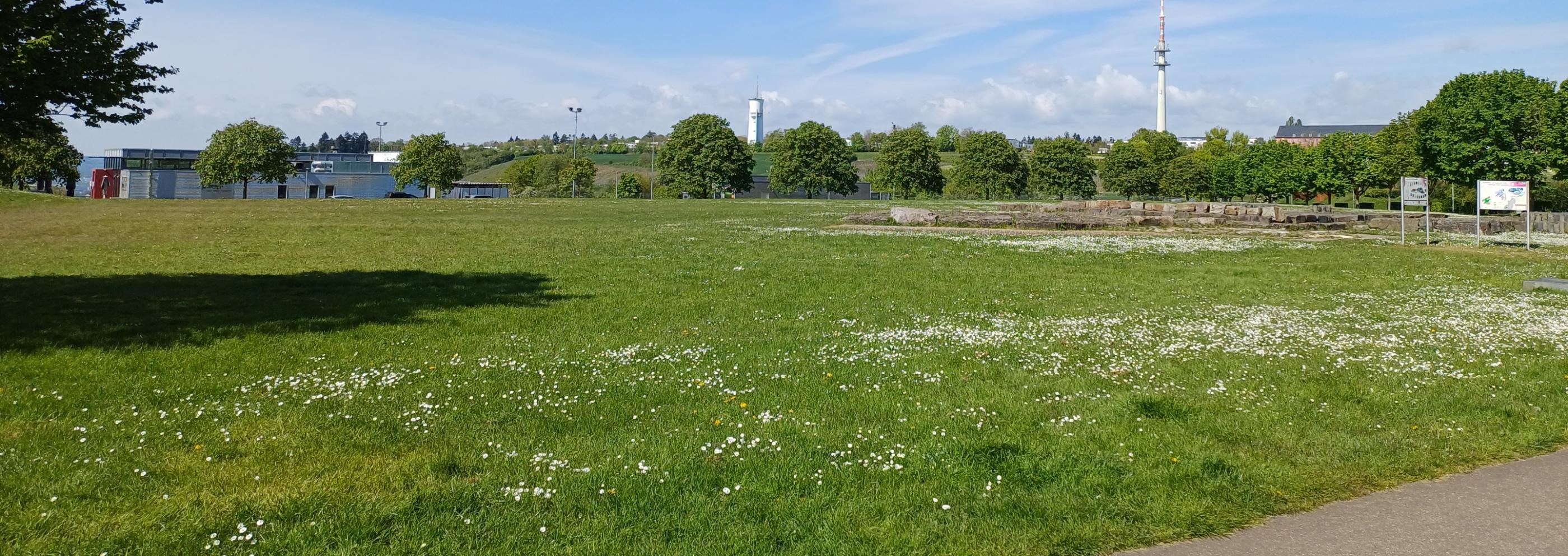 Petrisberg - Blick auf den Wasserturm und Funkturm