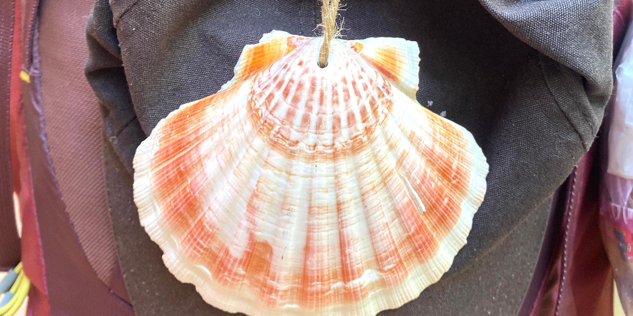 am Rucksack hängen Pilgermütze und Pilgerkopfebedeckung