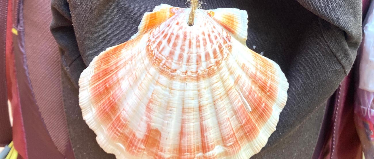 am Rucksack hängen Pilgermütze und Pilgerkopfebedeckung