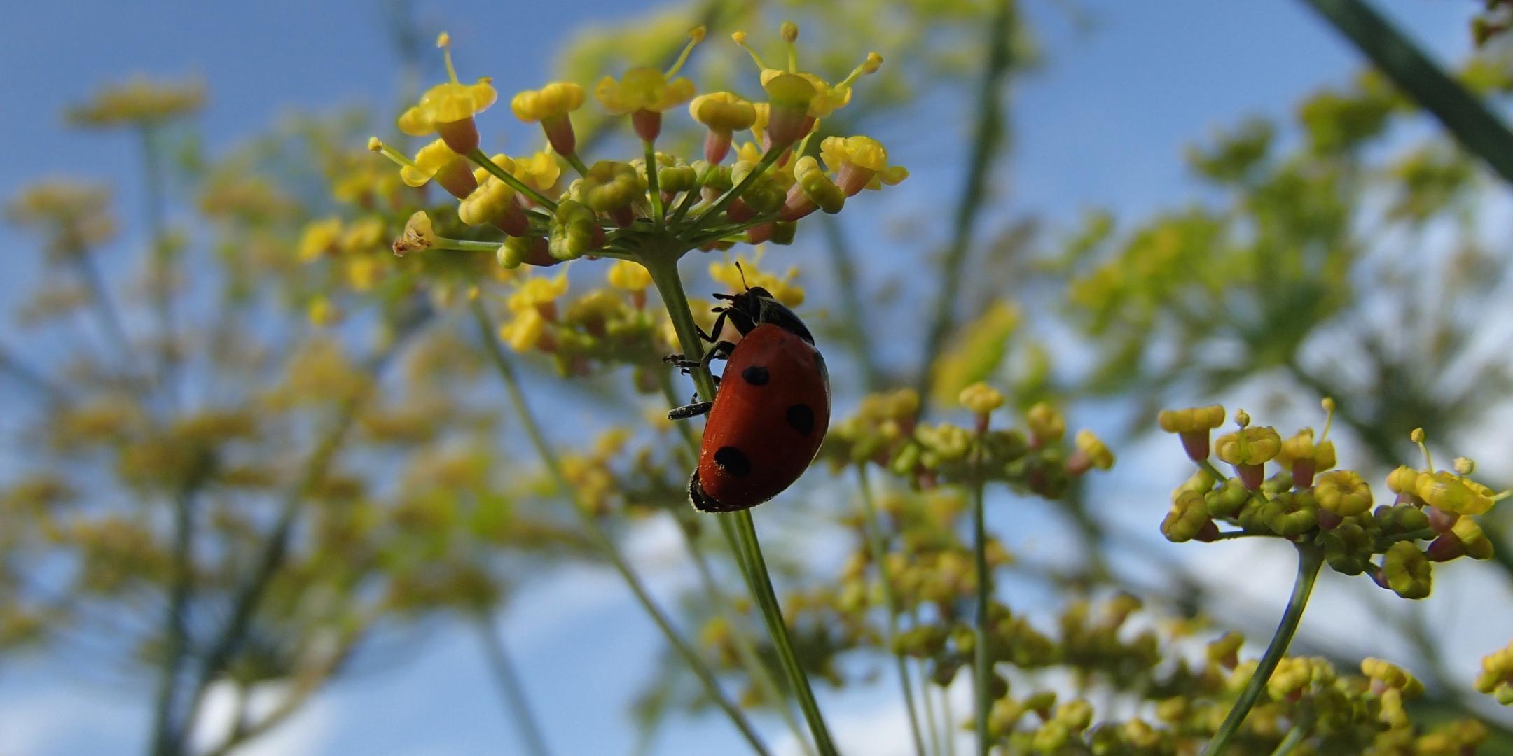 p81902981_by_johanna_klug_pfarrbriefservice