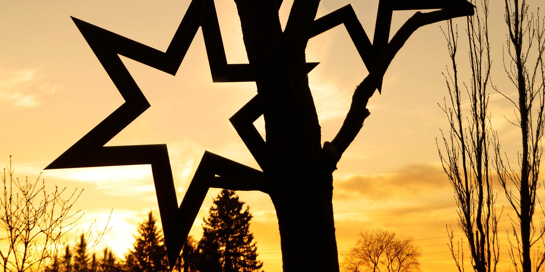 an einem dünnen Baumstamm mit 3 Ästen hängen drei große Sterne, im Hintergrund geht die Sonne unter, der Horizont leuchtet gelb und orange, die Sterne und der Baum sind dunkel