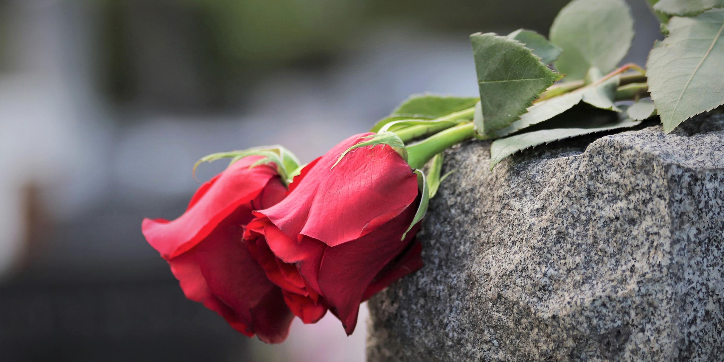 two-red-roses-4226983_by_goranh_pixabay_pfarrbriefservice